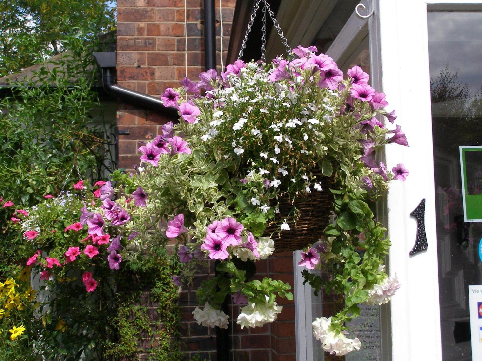 Anton Guest House Bed And Breakfast Shrewsbury Dış mekan fotoğraf